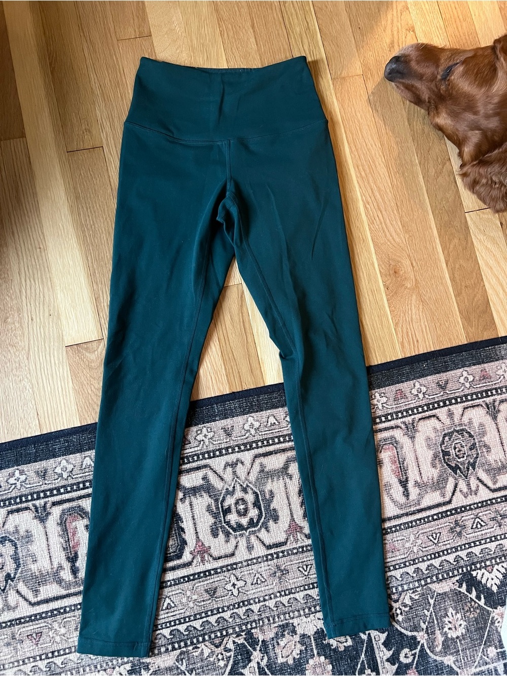 High-Waist Teal Leggings
